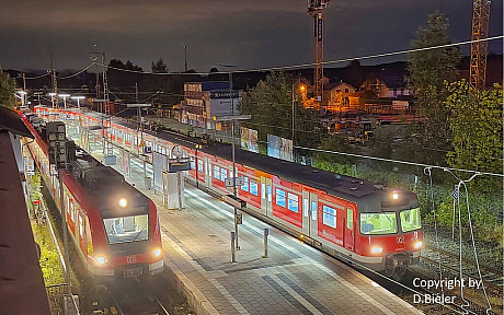 420u.423vonD.BielerVogelperspektive2