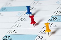 Foto:  www.netalb.com